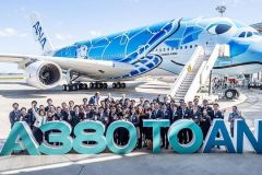 Специальная ливрея для авиакомпании ANA