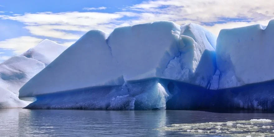 arctic