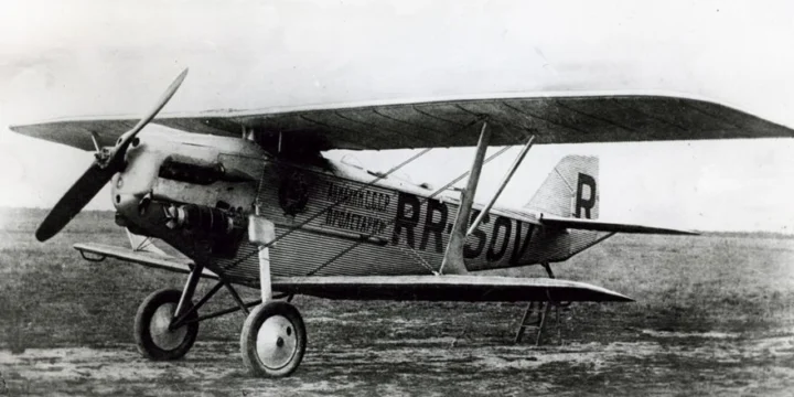 ant 3
