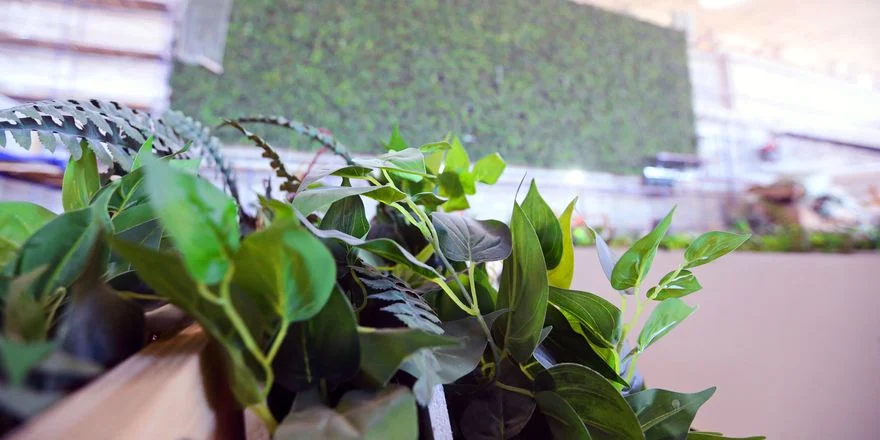 sip green wall airport simferopol