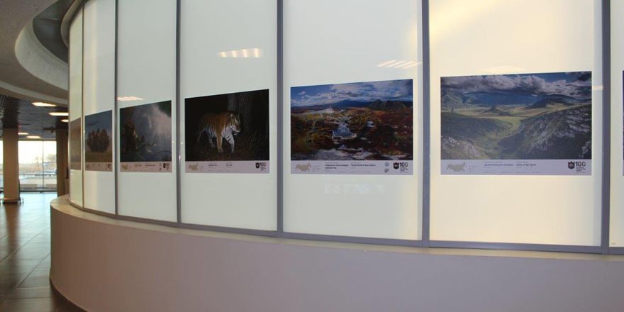 pulkovo exhibition
