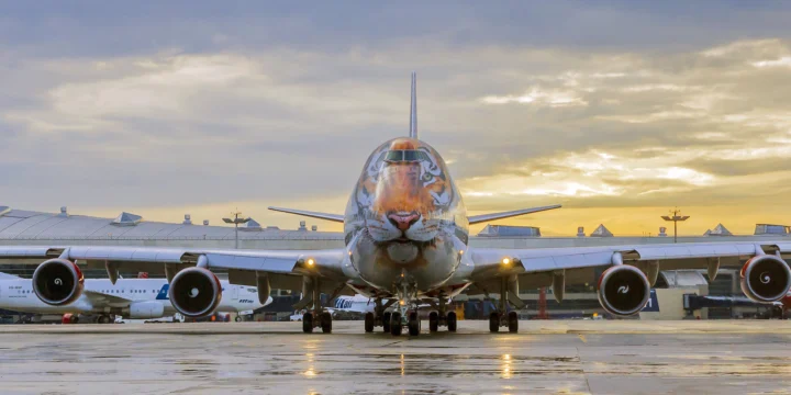 B747 Тигролет