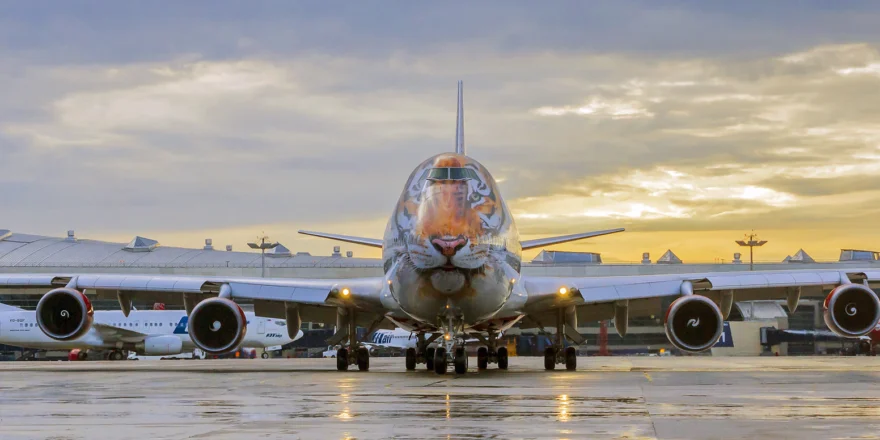 B747 Тигролет