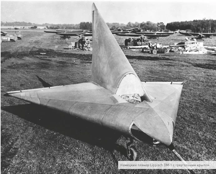 Lippisch DM‑1