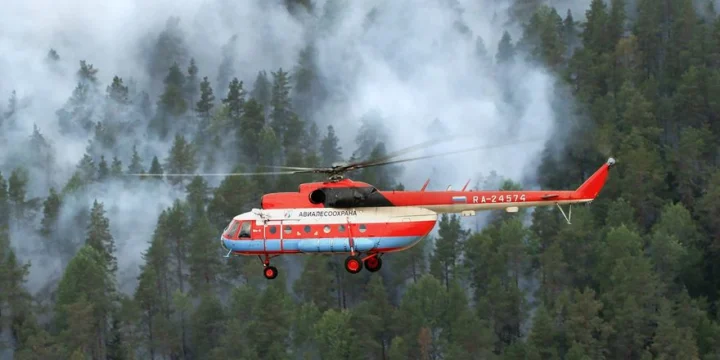 mi 8 avialesoohrana