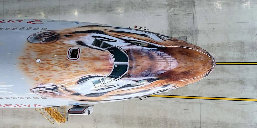 B747 Тигролёт