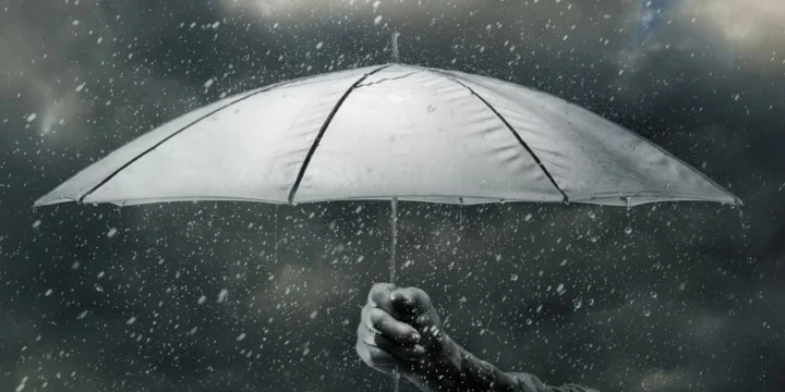 umbrella rain