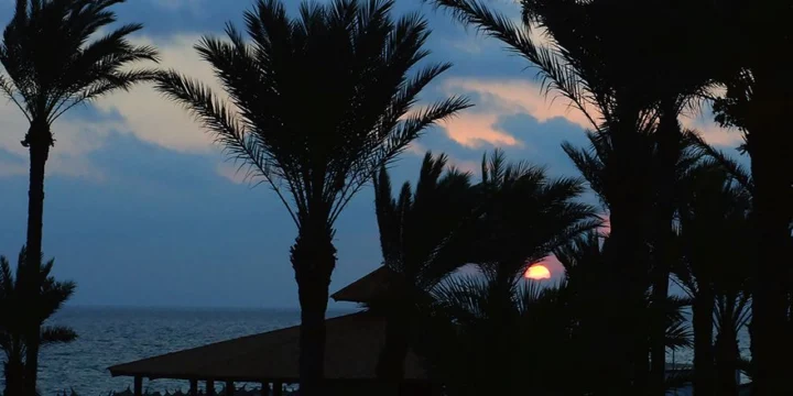 sunrise tunisia