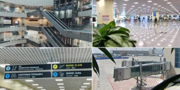 domodedovo collage