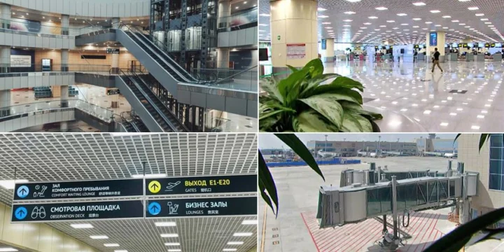 domodedovo collage