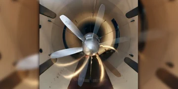 fan tsagi cagi test