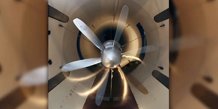 fan tsagi cagi test
