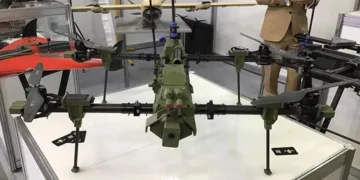 голубь