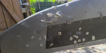 scat 350m destroy wing