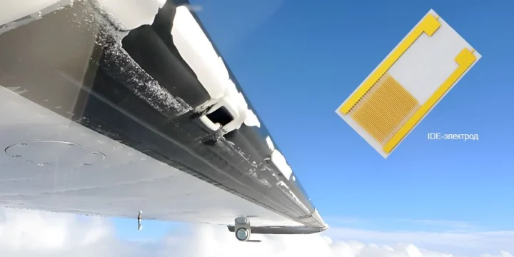 wing
