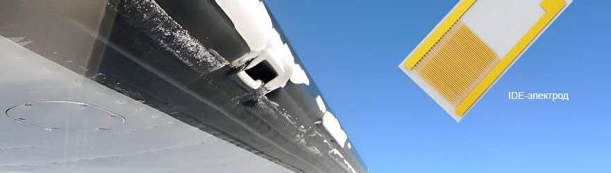 wing