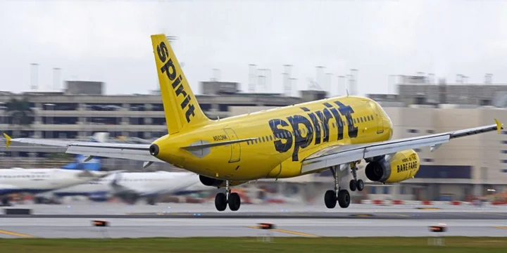 Американский лоукостер Spirit